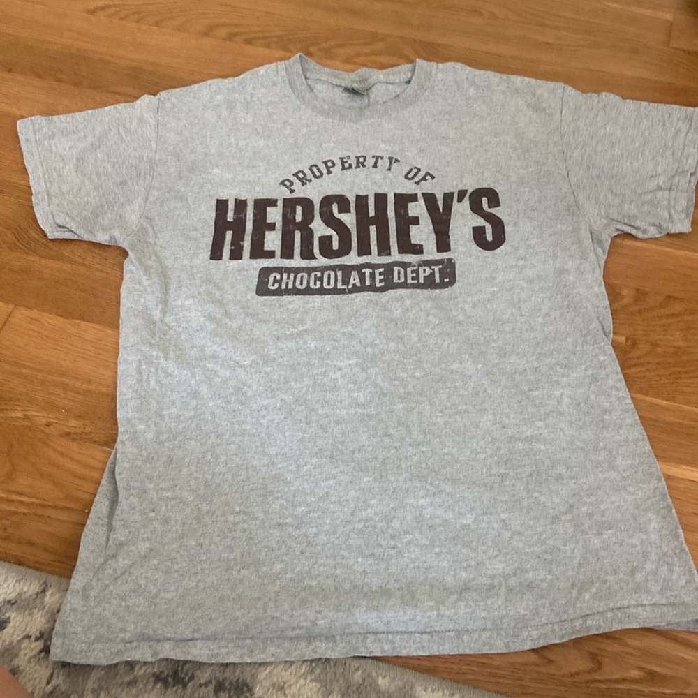 Grey Hershey Park T-Shirt
